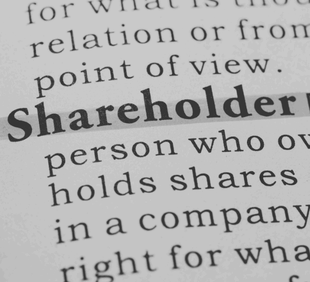 Shareholder Dispute Civil Litigation Services at Legalbird