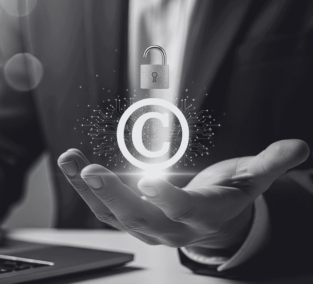 Intellectual Property Dispute & Commercial Litigation Lawyers at Legalbird