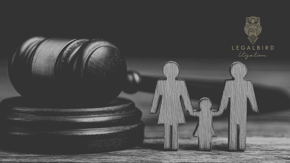 Appealing BC Provincial Court Family Decisions explained by Benti Atwal at Legalbird