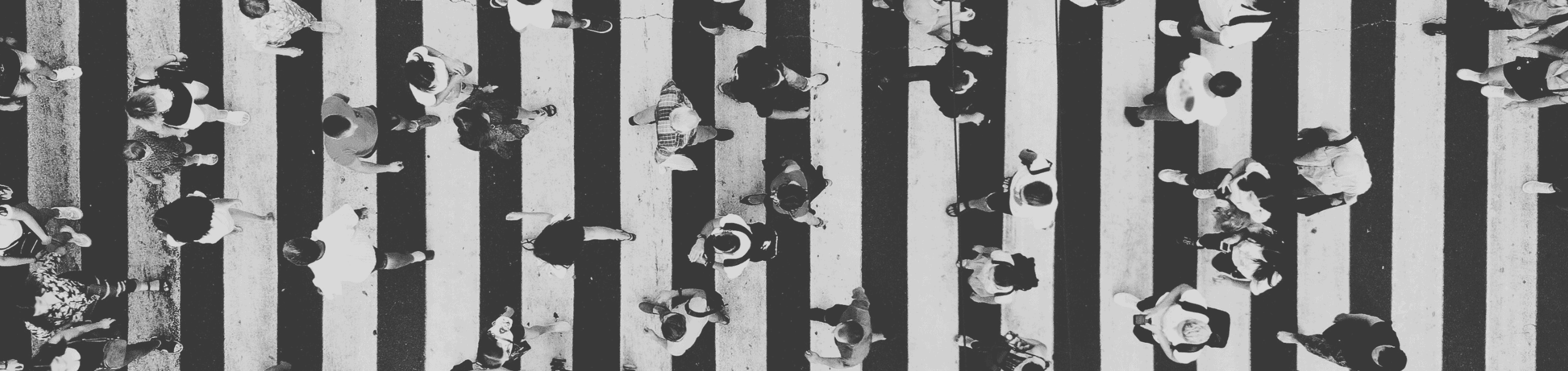 Legalbird-real-estate-litigation-lawyers-in-Vancouver