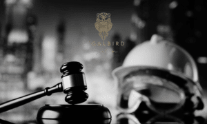 contractor litigation lawyer in Abbotsford, Surrey, & Vancouver BC